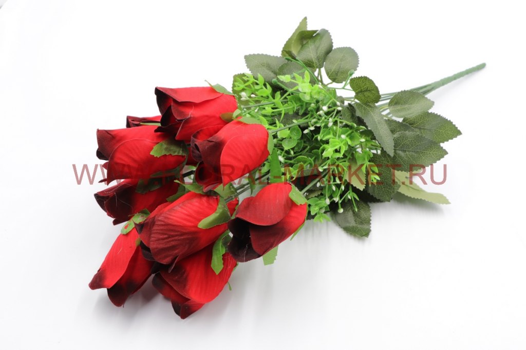 Б8498 Букет роза бутон барх.с черн.кант.11г.h=50см